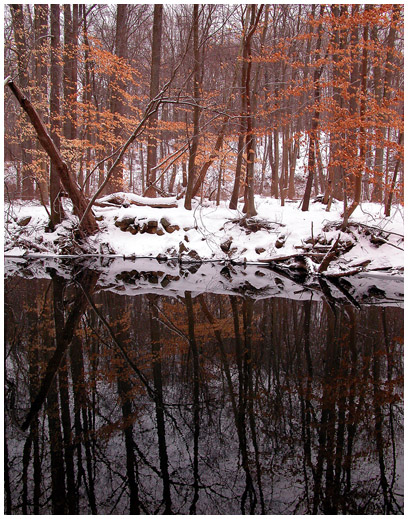 pennypack-winter1
